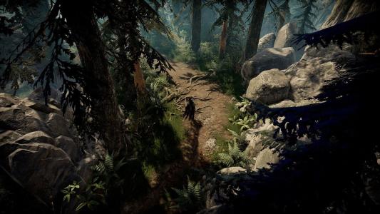 screenshot(s)