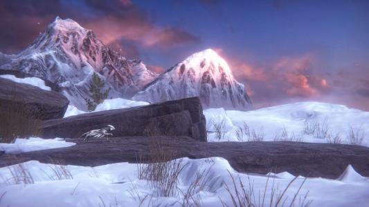 screenshot(s)