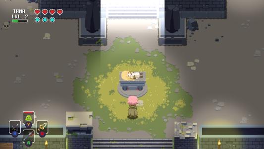 screenshot(s)
