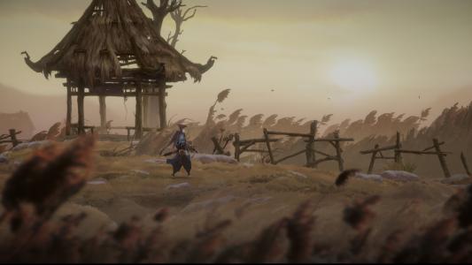 screenshot(s)