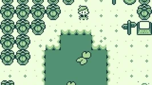 screenshot(s)