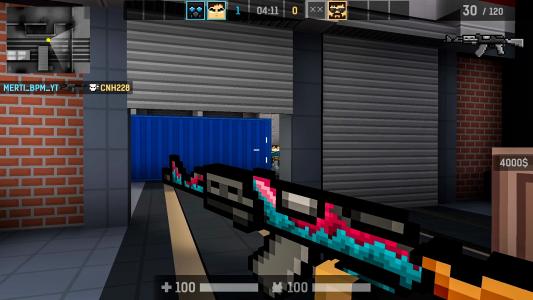 screenshot(s)
