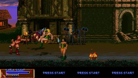screenshot(s)