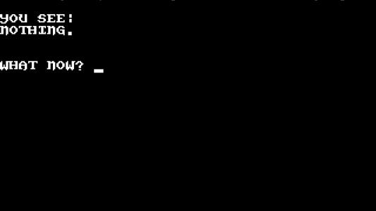 screenshot(s)
