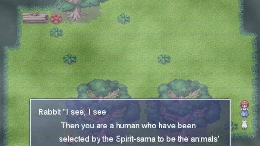 screenshot(s)