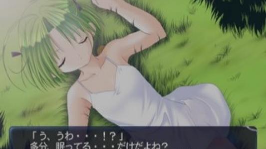 screenshot(s)