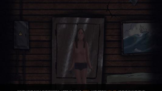 screenshot(s)