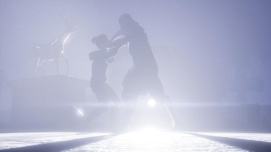 screenshot(s)