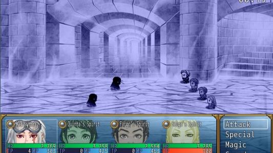 screenshot(s)