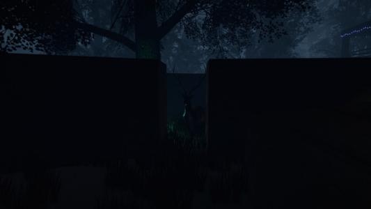 screenshot(s)