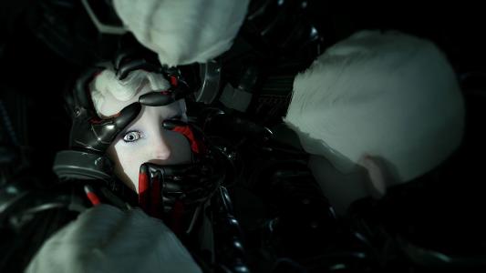 screenshot(s)