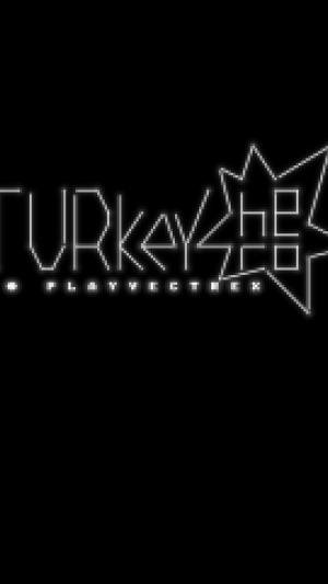 titlescreen(s)
