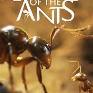 Empire of the Ants