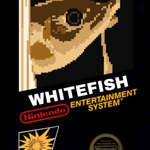 Whitefish