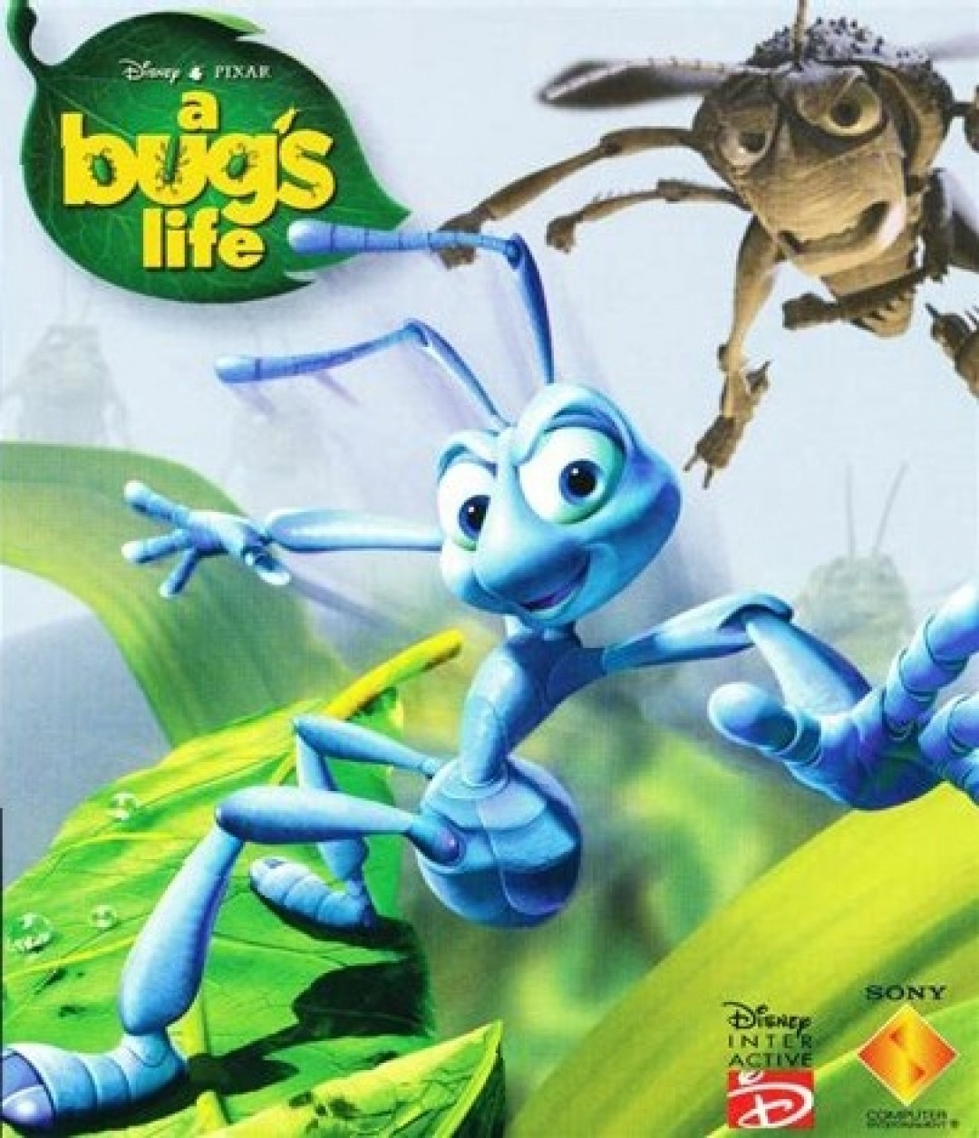 A Bug's Life
