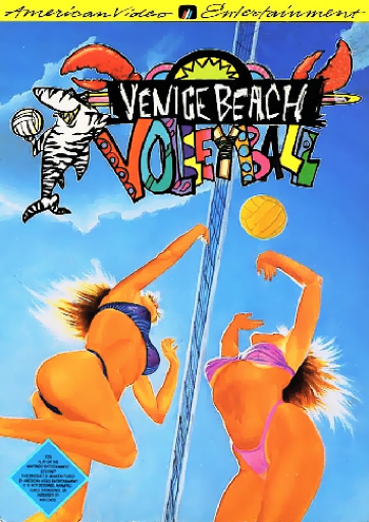 Venice Beach Volleyball