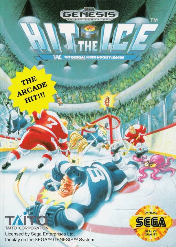 Hit the Ice: The Video Hockey League