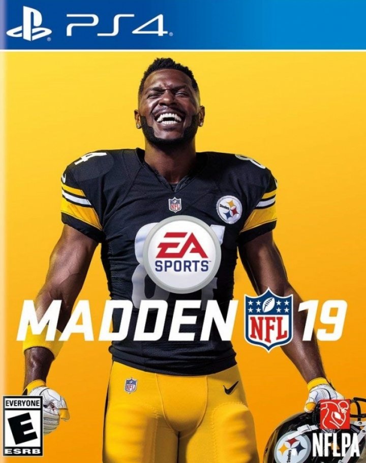 Madden NFL 19 | (Used - Complete) (Playstation 4)