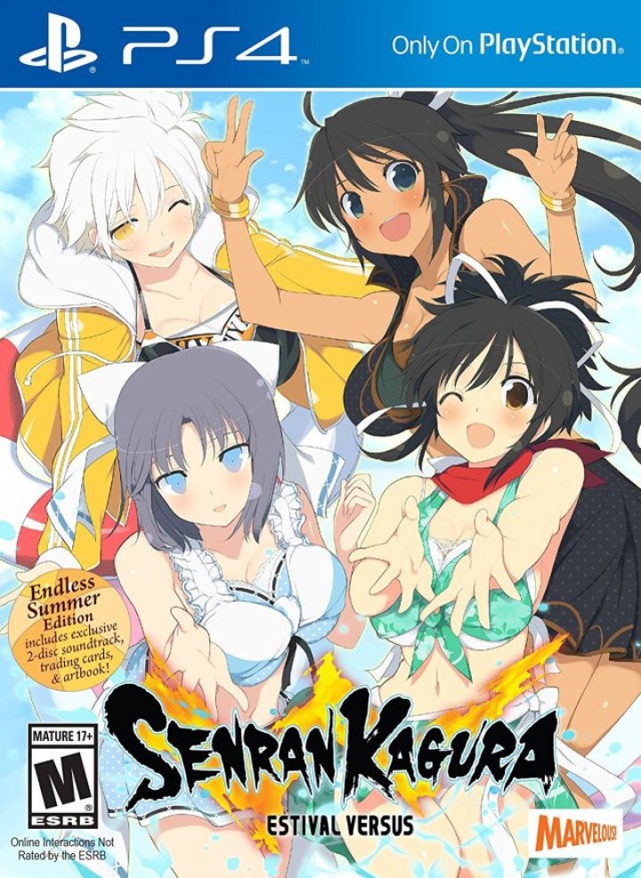 Senran Kagura Estival Versus [Endless Summer Edition] | (Used - Complete) (Playstation 4)