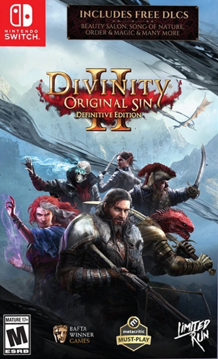 Cover art for Divinity: Original Sin II: Definitive Edition