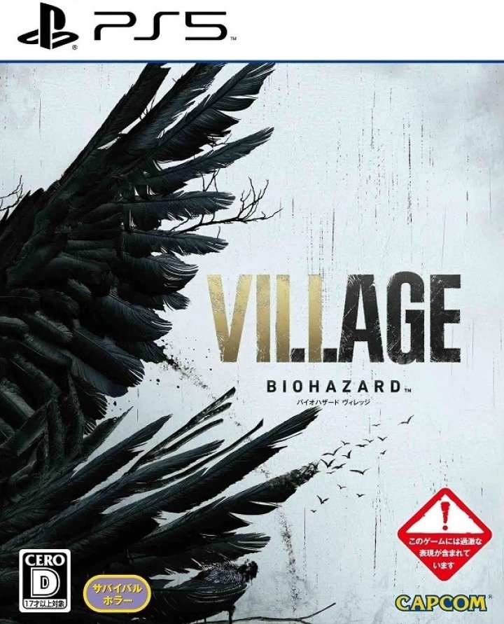 Cover art for Biohazard Village