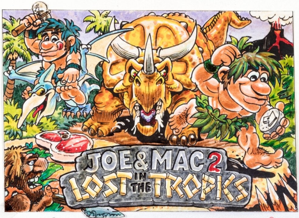 TGDB - Browse - Game - Joe & Mac 2: Lost in the Tropics