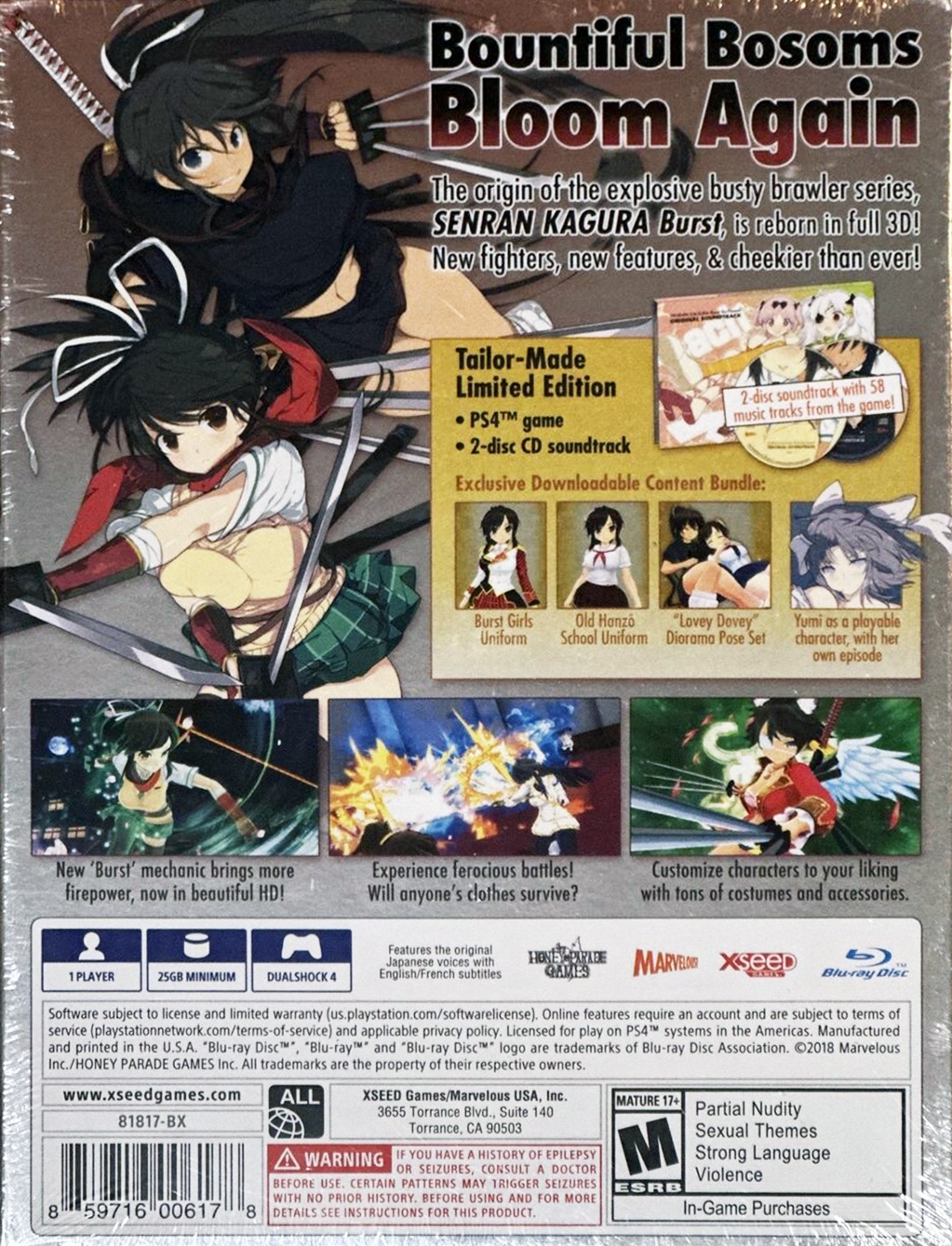 Senran Kagura Burst - Front Cover in 2023