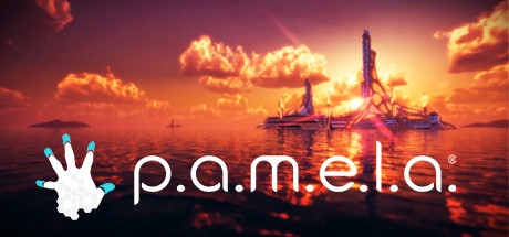 P.A.M.E.L.A. cover