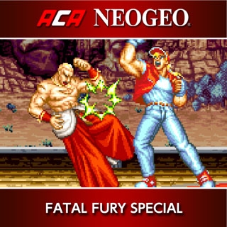 TGDB - Browse - Game - Fatal Fury Special