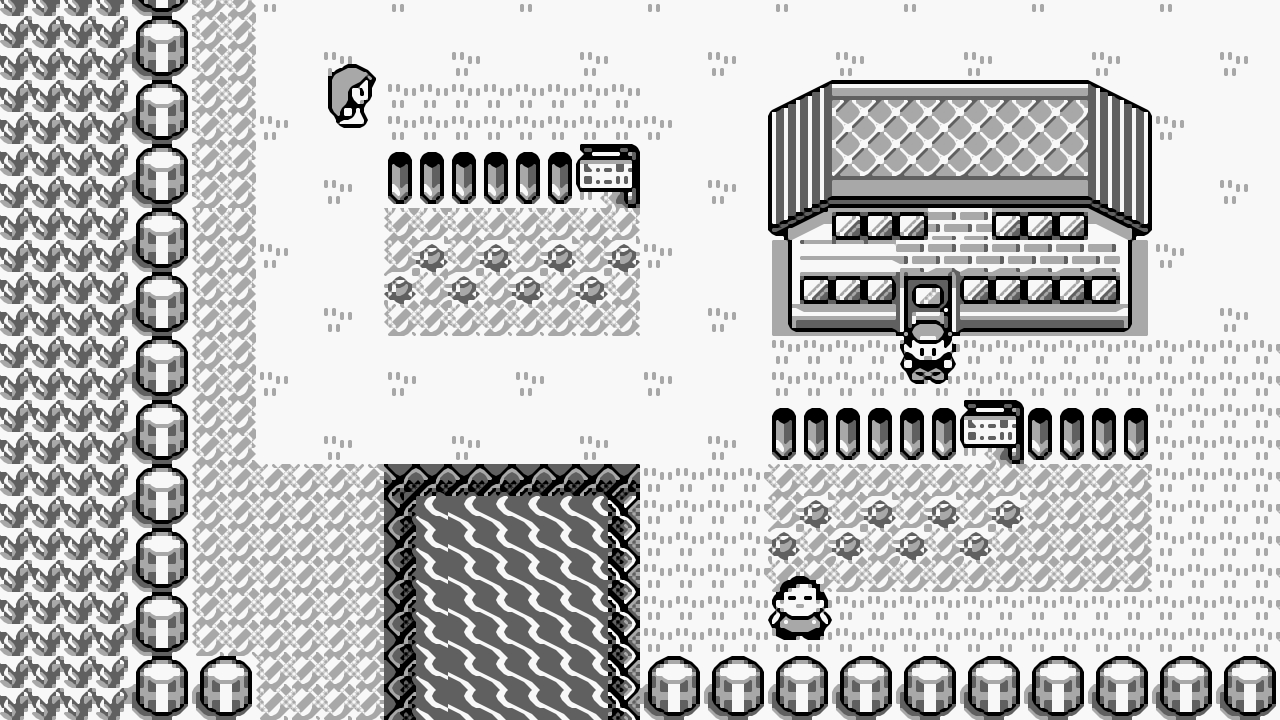 TGDB - Browse - Game - Pokémon Red Version