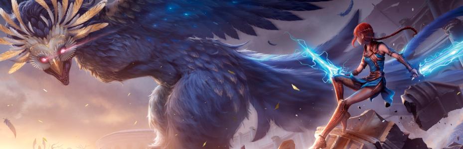banner(s)