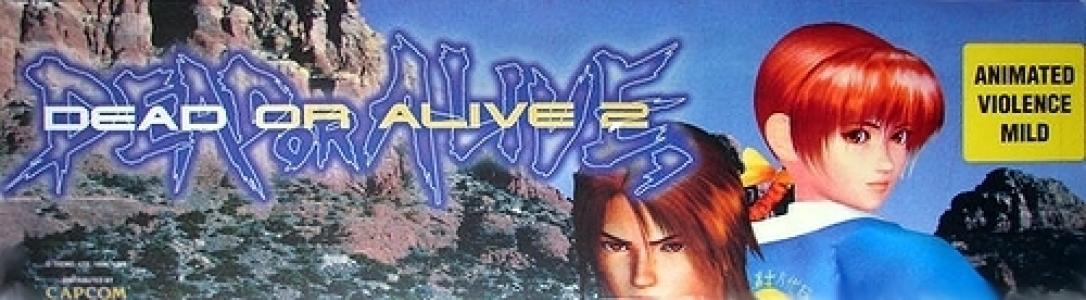 banner(s)