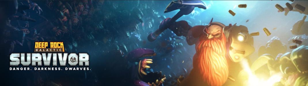 banner(s)