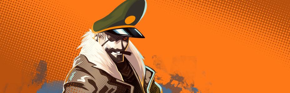 banner(s)