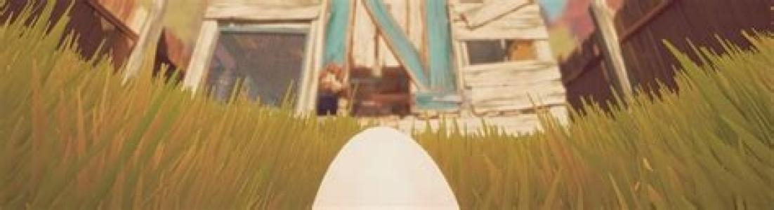 banner(s)