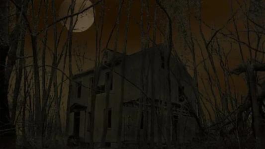 banner(s)