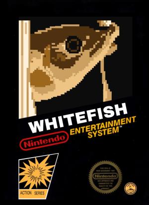 Whitefish