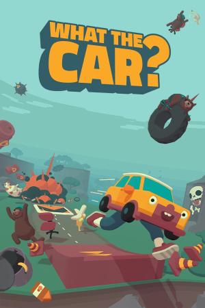 What the Car?