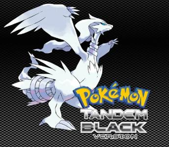 Pokémon : Tandem Black