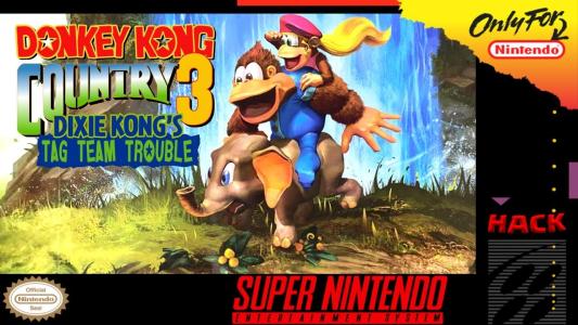 Donkey Kong Country 3 - Tag Team Trouble
