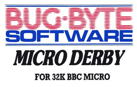 Micro Derby