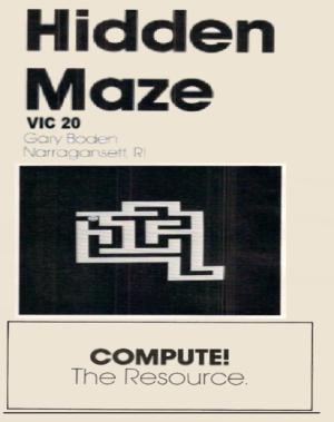 Hidden Maze