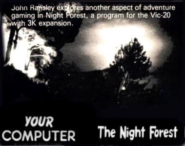 The Night Forest