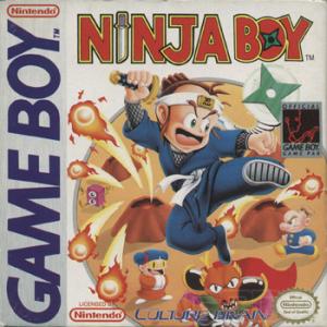 Ninja Boy cover