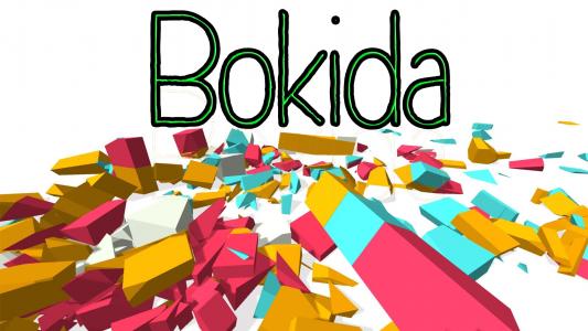 Bokida cover