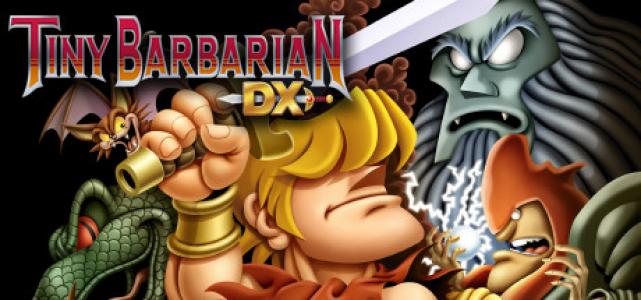 Tiny Barbarian DX cover