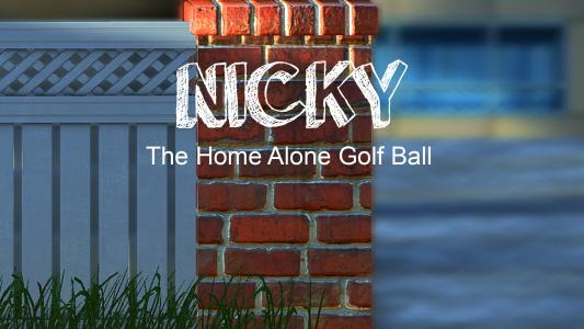 Nicky - The Home Alone Golf Ball cover