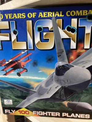 Flight - 100 Years of aerial Combat cover