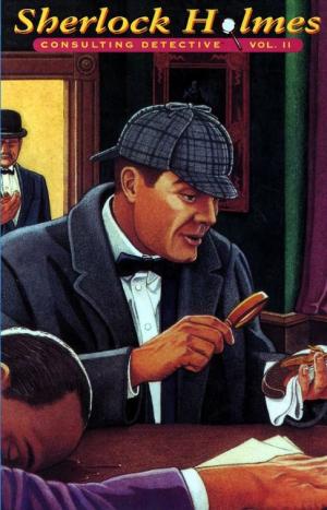 Sherlock Holmes: Consulting Detective vol. II cover