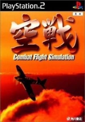 Combat Flight Simulation